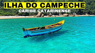 ILHA DO CAMPACHE  como ir o que fazer e tudo que você precisa saber [upl. by Belcher]