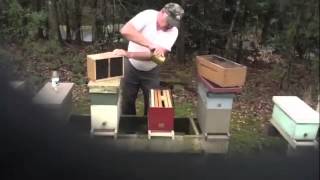 FBM Installs a Package of Bees [upl. by Aihsele504]