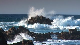 Zen Ocean Waves  Ocean Sounds Only NO MUSIC Aquatic Dream Therapy [upl. by Gerstner967]