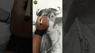 Worlds largest hyper realistic stippling drawing with hundred million dots 44×35 Inchespart8art [upl. by Warner]