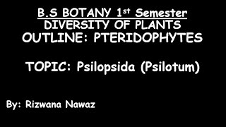 Psilopsida Psilotum by Rizwana Nawaz [upl. by Orlene]