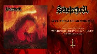 SKELETHAL quotSpectrum of Morbidityquot taken from Within Corrosive Continuums LP 2024 [upl. by Paolo899]