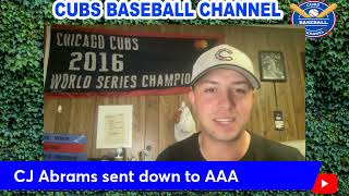 Chicago Cubs Baseball News  ShoTime [upl. by Rodger751]