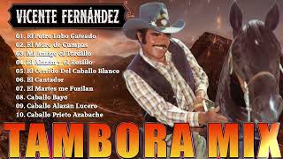 1 Hora De Puros Corridos De Caballos De Vicente Fernández 🔥 Rancheras Mix Viejitas 80s 90s [upl. by Akselav]