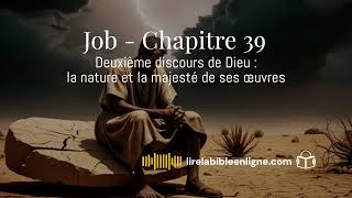 Job  chapitre 39  Deuxième discours de Dieu  la nature et la majesté de ses œuvres lirelabible [upl. by Robi354]