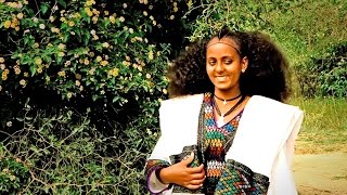 Alemayehu Hafte  laza welela  New Ethiopian Tigrigna Raya Music Official Video [upl. by Saxen]