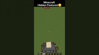 Hidden Features in Minecraft🤫 minecraft gaming secret fypシ゚viral fyp viral fypage easteregg [upl. by Irby]