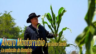 Alvaro Monterrubio y su Santa Cecilia  La ambición de Demetrio [upl. by Oleusnoc]