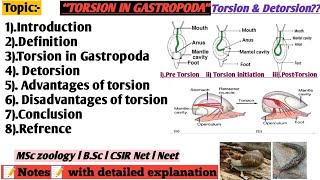 Torsion in gastropoda  Advantage of Torsion  Disadvantages of torsion [upl. by Anerroc]