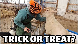 Less tricks more treats please Halloween week is NOT playing nice  Vlog 728 [upl. by Nazay]