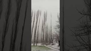 Chitral  chitral rainfall  baraf bari snow falling [upl. by Elston199]