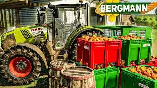 LS19 HOF BERGMANN 55 APFELSAFT pressen und Apfelwein herstellen  LANDWIRTSCHAFTS SIMULATOR 19 [upl. by Jarlathus]