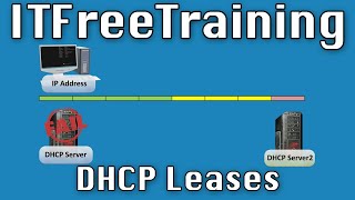 DHCP Leases [upl. by Anglo335]