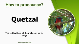 How to pronounce Quetzal in English correctly [upl. by Janaye]