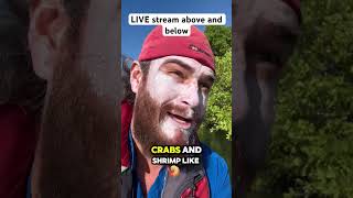 LIVE Streaming underwater kayak fishing captainerik explore snorkeling [upl. by Srevart]