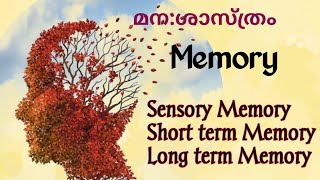 Memory Types of MemoryStage Model of Memory Richard AtkinsonShiffrinIGNOU Psychology [upl. by Ailedamla]