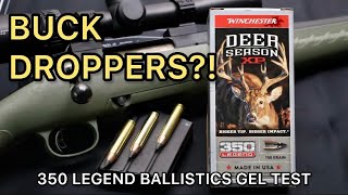 BUCK DROPPERS 350 Legend Winchester Deer Season XP 150gr Ammo Test [upl. by Adnilasor]