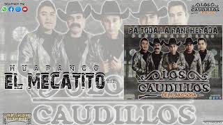 Los Caudillos del Flako Sosa Oficial  El Mecatito  Álbum 2020  Pá Toda la Rancherada [upl. by Lussier]