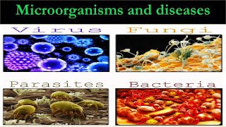 DISEASES CAUSE BY MICROORGANISM [upl. by Tayyebeb]