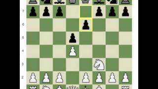 Chesscom  Live Sessions Static vs Dynamic Variations [upl. by Leyameg886]