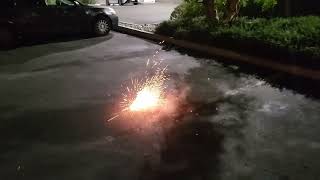 Ground flower bloom with crackle firecracker [upl. by Wiseman]