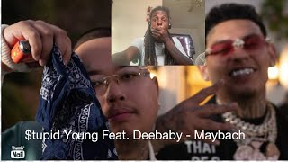 tupid Young Feat DeeBaby  MaybachReaction [upl. by Hsuk]