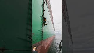 ship setsail automobile sailboat shipping container boat 4k pilotboat pilotvessel [upl. by Fabiola]