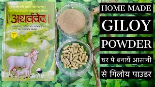 GILOY POWDER AT HOMEगिलोय के पाउडर बनाएं घर पे [upl. by Nae]