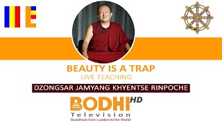 BEAUTY IS A TRAP  DZONGSAR JAMYANG KHYENTSE RINPOCHE  BODHI TV  LIVE [upl. by Essilem]