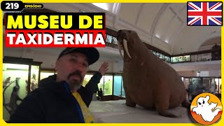 🦁🦭 Encontro com a Natureza Horniman Museum  Londres Reino Unido 🇬🇧  EP 219 [upl. by Lednyk609]