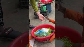 OMG  CUTIS go to market to buy vegetablescutis monkey shortvideo [upl. by Ennovehs]