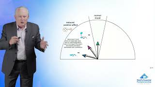 Symptoms to Circuits in Mood Disorders [upl. by Ahkihs]