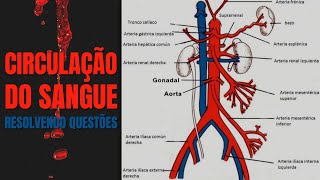 Questão sobre o trajeto do sangue no corpo humano  CIRCULAÇÃO SANGUÍNEA [upl. by Rufus]