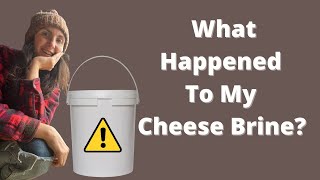 What Happened To My Cheese Brine [upl. by Sheena471]