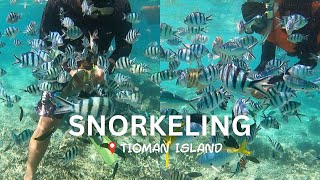 Snorkeling at Tioman Island [upl. by Annat]