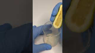 Lemon vs Bacteria health microscope interesting [upl. by Ahras]