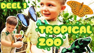 TROPICAL ZOO ZEELAND  VLINDERS   aapjes KRIEBELDIEREN  WANDELENDE TAK vasthouden DEEL 1 [upl. by Akamaozu]