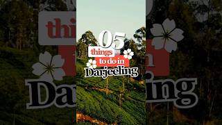 05 Things to do in Darjeeling youtubeshorts shortsvideo darjeeling [upl. by Irina]