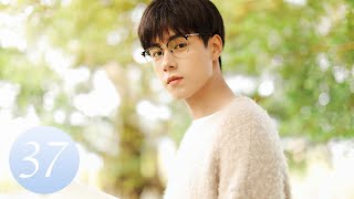 ENG SUB【Unrequited Love 暗恋橘生淮南】EP37｜Chinese Romantic Drama Starring Hu Yitian amp Hu Bingqing [upl. by Kimon]