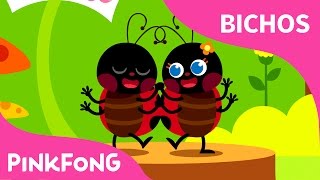 La Mariquita  Bichos  Pinkfong Canciones Infantiles [upl. by Nagirrek]