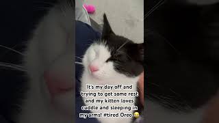 My 4 months old Oreo kitten ytshorts [upl. by Gonta]