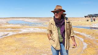 Fossilised stromatolites in Lake Torrens [upl. by Schroder]