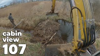 Beaver Dam Near The Hunting Tower  Beaver Dam Removal With Excavator No107  Cabin View [upl. by Dinnie546]