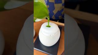 見た目はかわいい味は本格的な濃厚抹茶ラテ🍵shorts 福岡 福岡グルメ カフェ巡り japanesefood japan matcha [upl. by Rosalynd]