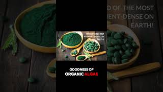 Sunlit Best Organic Chlorella Spirulina Tablets Review – Best Vegan Superfood Supplement 2024 [upl. by Aniela]