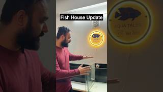 Fish House Update Setting Up 6 New Tanks [upl. by Buseck]