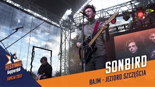 Sonbird  Jezioro Szczęścia cover Bajm [upl. by Dnomhcir]