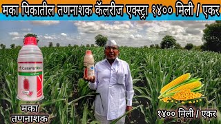 🌽 मका व ऊसातील तणनाशक कॅलरीज एक्स्ट्रा सिंजेन्टा Calaris Xtra Maize Herbicide syngenta makkah [upl. by Malarkey]