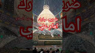 Ziyarat imam ali as najaf haramimamalias molaali shrtsvideo shortsfeed subscribe ytshorts yt [upl. by Georgi544]