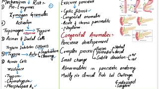 Pancreas  Robbins PathologyChapter 17AgenesisPancreas DivisumAnnular PancreasEctopic Pancre [upl. by Ecirpak941]